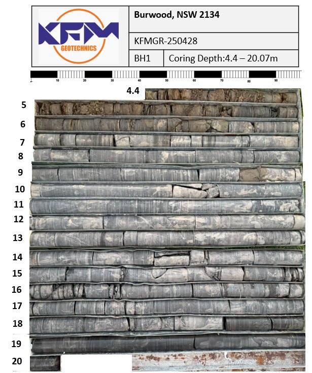 Rock core from borehole BH1, Burwood NSW, cored 4.4–20.07 m